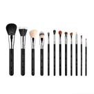 Conjunto de pincéis de maquiagem Sigma Beauty Essential 12 pincéis