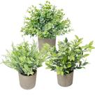 Conjunto de plantas artificiais Meinature Mini Potted Greenery x3