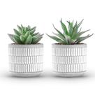Conjunto de plantas suculentas artificiais Der Rose para decoração de casa