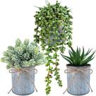 Conjunto de plantas suculentas artificiais em vasos Winlyn Farmhouse x3