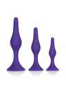 Conjunto de plugues anais CalExotics Booty Call Booty Trainer Kit roxo
