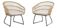 Conjunto De Poltronas Rattan E Aço 2 Peças Design Artístico