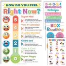 Conjunto de pôsteres DeeDee's Workshop 4 Feelings Chart for Kids