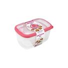 Conjunto de Potes Plásticos Retangulares Altos Herméticos Flor Rosa 3pçs - Sanremo