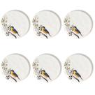 Conjunto De Pratos Rasos 06 Peças Bio Birdy Porto Brasil