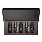 Conjunto de presente de óleo difusor AirScent Hotel Metro City 5 estrelas 10 ml Conjunto de presente de óleo difusor AirScent Hotel Metro City 5 estrelas 10 ml