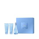 Conjunto de presente feminino Perfume DAVIDOFF Cool Water Eau de Toilette, 3 peças