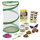 Conjunto de presentes Butterfly Garden Insect Lore Habitat com 10 lagartas