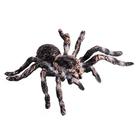 Conjunto de presentes infantis Animal Figures Flormoon Spider Action Model Toy