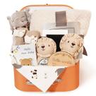 Conjunto de presentes para bebês Cubotn, 11 unidades com cobertor Rattle Milestone Toy