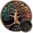 Conjunto de presentes Sobriety Coin Milestone Mint Tree of Life AA Chip