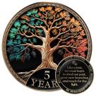 Conjunto de presentes Sobriety Coin Milestone Mint Tree of Life AA Chip