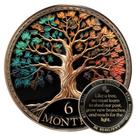 Conjunto de presentes Sobriety Coin Milestone Mint Tree of Life AA Chip
