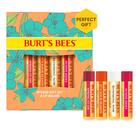 Conjunto de protetor labial Burt's Bees Just Picked Romã e Melancia