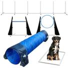 Conjunto de quintal para cães Agility Course, utensílios domésticos com túnel e postes