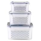 Conjunto de recipientes para armazenamento de alimentos na geladeira Ronanemon com tampas, pacote com 3 Conjunto de recipientes para armazenamento de alimentos na geladeira Ronanemon com tampas, pacote com 3
