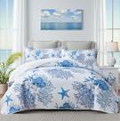 Conjunto de roupa de cama de edredão Weesire Coastal Queen com 2 fronhas azuis