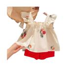 Conjunto de Roupa Infantil Meninas Verão - Floral Bordado com Renda