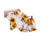 Conjunto De Roupas De Verão Para Meninos Bebês 2 Peças Camisa Casual E Shorts Trajes Esportivos Para Conjunto De Roupas De Verão Para Meninos Bebês 2 Peças Camisa Casual E Shorts Trajes Esportivos Para