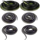 Conjunto de serpentes de borracha ADULLPONY Scare Birds Garden 6 unidades