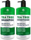 Conjunto de shampoo e condicionador BELLISSO Tea Tree Oil anti caspa Conjunto de shampoo e condicionador BELLISSO Tea Tree Oil anti caspa