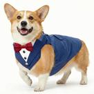Conjunto de smoking e bandana para cães AVERYDAY para roupa de casamento Conjunto de smoking e bandana para cães AVERYDAY para roupa de casamento