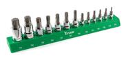 Conjunto de Soquetes Torx Bit Titan 85532 (13 Peças) com Organizador Magnético Conjunto de Soquetes Torx Bit Titan 85532 (13 Peças) com Organizador Magnético