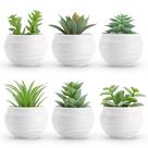 Conjunto de suculentas artificiais Der Rose com 6 plantas para decoração de casa
