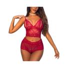 Conjunto De Sutiã E Calcinha De Renda Floral Azul Com Abertura Na Parte Íntima, Lingerie Sexy Com