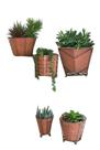Conjunto de terracota envolto em arame de latão Planter KALALOU laranja