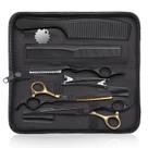 Conjunto de tesouras para corte de cabelo JASON Professional de 10 peças de 6,5 polegadas