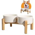 Conjunto de tigelas elevadas de cerâmica para cães PTOBER 850 ml para pequenas e médias