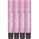 Conjunto de tonalidades labiais Burt's Bees Shimmer Goiaba Moisturizing, pacote com 4 unidades