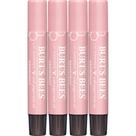 Conjunto de tonalidades labiais Burt's Bees Shimmer Grapefruit, pacote com 4 unidades
