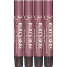 Conjunto de tonalidades labiais Burt's Bees Shimmer Watermelon, pacote com 4