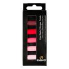 Conjunto de tons pastéis macios Rembrandt 5 Half Sticks Cool Reds Conjunto de tons pastéis macios Rembrandt 5 Half Sticks Cool Reds