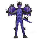 Conjunto de trajes infantis Spooktacular Creations Purple Dragon