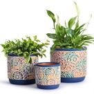 Conjunto de vasos de cerâmica DeeCoo com orifícios de drenagem 14/12/9 cm azul