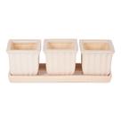 Conjunto de Vasos de Cerâmica Zingz & Thingz 30x10x10 cm 3 peças