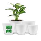 Conjunto de vasos de plantas Lifemaster Eco Friendly, pacote com 5 orifícios de drenagem Conjunto de vasos de plantas Lifemaster Eco Friendly, pacote com 5 orifícios de drenagem