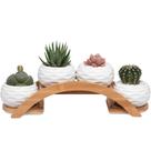 Conjunto de vasos e suportes para suculentas E-liu Ceramic White (pacote com 4)