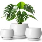 Conjunto de Vasos para Plantas de Cerâmica Vancasso 9,5/12/16 cm para Interior