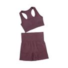 Conjunto de Yoga Sem Costura Feminino - Roupas de Ginástica e Fitness Conjunto de Yoga Sem Costura Feminino - Roupas de Ginástica e Fitness