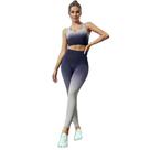 Conjunto Feminino Degrade Calça Leg E Top Academia Fitness