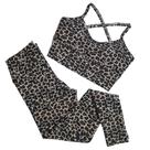 Conjunto Fitness Calça + Top com Bojo de Oncinha