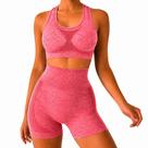 Conjunto Fitness Feminino Top com Short Cintura Alta para Treino Yoga e Pilates
