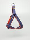 Conjunto Guia e Peitoral Ajustável para cães 1,0cmx1,2mt Jeans - Cachorro Pequeno Porte - Shitzu, Pinscher, Yorkshire