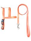 Conjunto Guia e Peitoral Candy para cães - Multipatas