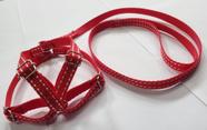Conjunto Guia e Peitoral Nylon para Cães Variedades em Cores e Tamanhos