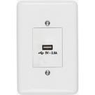 Conjunto Ilumi Stylus Branco Com Placa 1 Tomada Usb 2091